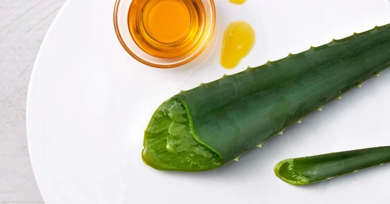 Ingredientes naturales que Están Revolucionando el Cuidado de la Piel
